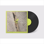 Buy Close-Up On The Outside