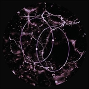 Buy Echolocation