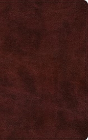 Buy ESV Large Print Thinline Bible