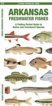 Buy Arkansas Freshwater Fishes