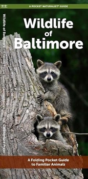 Buy Baltimore Wildlife