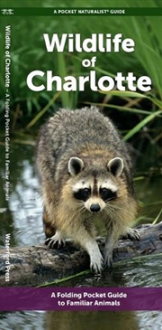 Buy Charlotte Wildlife