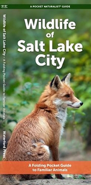 Buy Salt Lake City Wildlife