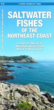 Buy Saltwater Game Fish of Northeast Coast Nearshore Waters