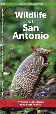 Buy San Antonio Wildlife