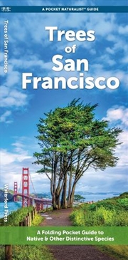 Buy San Francisco Trees
