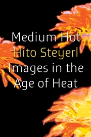 Buy Medium Hot: Images In The Age Of Heat