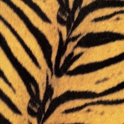Buy Tigermobile
