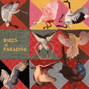 Buy Birds Of Paradise - Roseate Spoonbill Pink