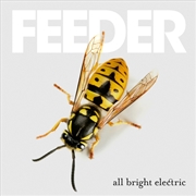 Buy All Bright Electric