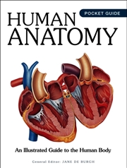Buy Human Anatomy : An Illustrated Guide to the Human Body