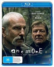 Buy Anemone