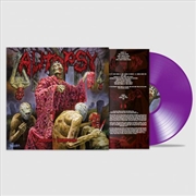 Buy Morbidity Triumphant