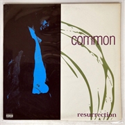 Buy Resurrection