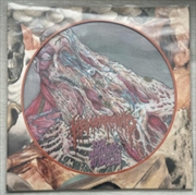 Buy Raw Materials Of Decay