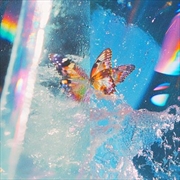 Buy Butterfly
