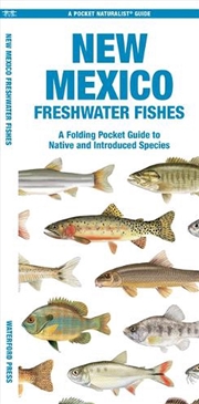 Buy New Mexico Freshwater Fishes