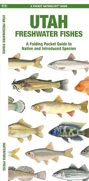 Buy Utah Freshwater Fishes