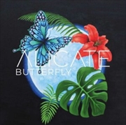 Buy Butterfly