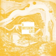 Buy A Different Life