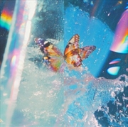 Buy Butterfly
