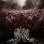 Buy Elucidations On Flesh Paradoxes
