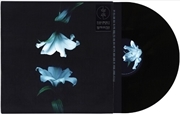 Buy Nocturne
