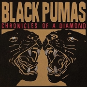 Buy Chronicles Of A Diamond