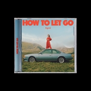 Buy How To Let Go