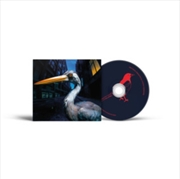 Buy Decoding Birdsong