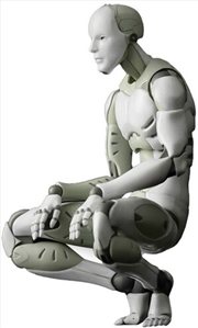 Buy 1/6 Sythetic Human Figure