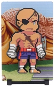 Buy FIGGYZ - Street Fighter 2 Sagat