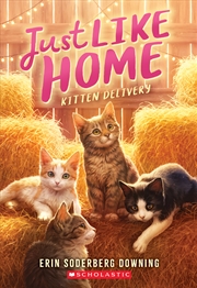 Buy Kitten Delivery (Just Like Home #2)