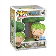Buy One Piece – Zoro Sleeping Pop! Premium [RS]