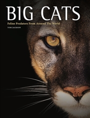 Buy Big Cats : Feline Predators From Around The World