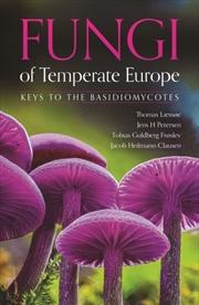 Buy Fungi of Temperate Europe : Keys to the Basidiomycotes