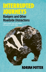 Buy Interrupted Journeys : Badgers and Other Roadside Distractions
