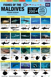 Buy Maldives Fish Field Guide "Top 200+"