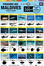 Buy Maldives Guide Des Poissons : Le Top 200+ (French)