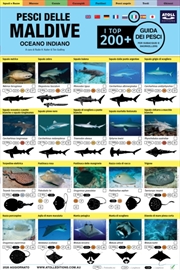 Buy Maldive Guida Dei Pesci : I Top 200+ (Italian)
