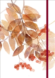 Buy Silver Birch Notebook