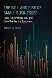 Buy The Fall and Rise of Small Businesses : Race, Government Aid, and Growth After the Pandemic