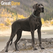 Buy Great Dane Wall