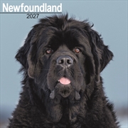 Buy Newfoundland Wall