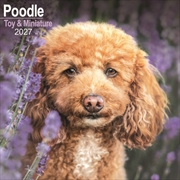 Buy Poodle, Toy & Miniature Wall