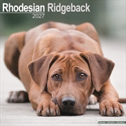 Buy Rhodesian Ridgeback Wall