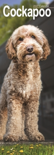 Buy Cockapoo Slim