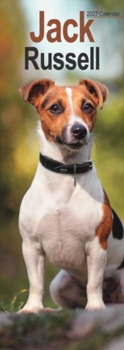 Buy Jack Russell Slim