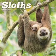 Buy Sloths Wall