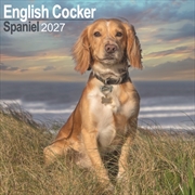 Buy English Cocker Spaniel Wall